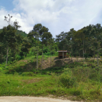 Eksploitasi Air Terjun Mangkol Untuk Raup Keuntungan Pribadi