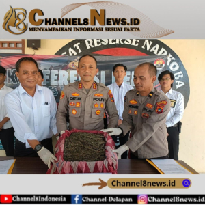 Tim Hantu Sat Narkoba Polres Babar Amankan 2 Kg Ganja, Kapolres: Barangnya Dikirim Lewat JNE