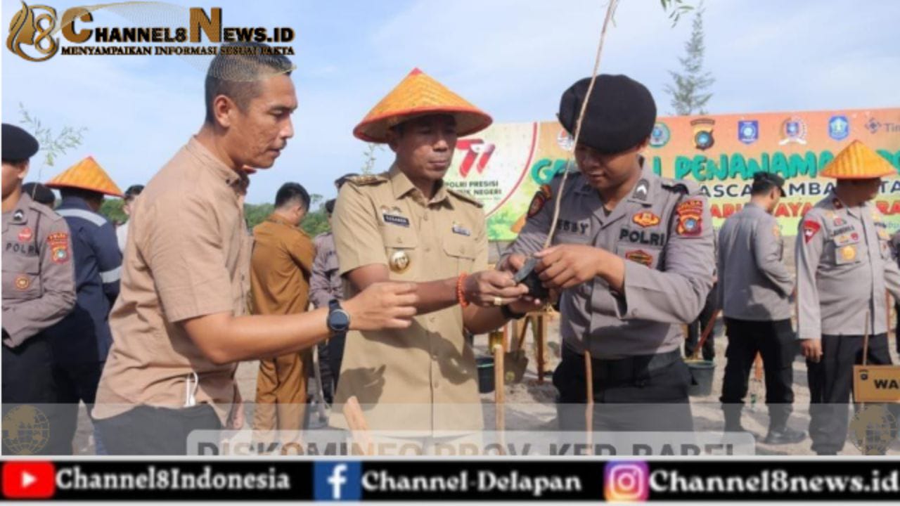 Ada 167.104 Hektar Lahan Kritis di Kepulauan Babel