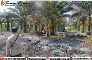 Kebakaran Hutan dan Lahan Berhasil di Padamkan