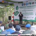 Pj Gubernur Safrizal Tantang Tanam 1 Juta Pohon di 2024