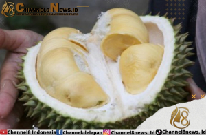 7 Makanan dan Minuman yang Tidak Boleh Dimakan Setelah Makan Durian