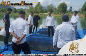 Pemkab Bateng Bersama Pokdarwis dan Pokdakan Tebar 2000 Bibit Ikan Nila Hitam di Danau Pasca Tambang