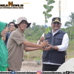 Rehabilitasi Lahan Kritis, Pj Gubernur Safrizal Terus Gencarkan Gerakan Penanaman Pohon
