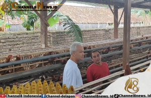Usai Berdialog dengan Peternak Ayam Petelur di Magetan, Ganjar Pranowo Cerita Masa Kecilnya