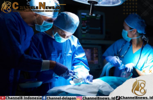 Perdana Ahli Bedah RSU di Boston Sukses Transplantasikan Ginjal Babi ke Manusia