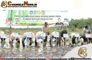 Optimalisasi Lahan untuk Ketahanan Pangan Nasional, Safrizal: Mudah-mudahan Babel Bisa Berkontribusi Secara Nasional
