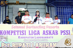 Ellya Rosa Secara Resmi Buka Kompetisi Liga Askab PSSI Kabupaten Labuhanbatu