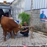 PKS Bangka Tengah Bagikan 1000 Paket Qurban kepada Masyarakat Koba