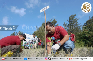 Kurangi Lahan Kritis di Babel, PT Timah Terus Galakkan Penanaman Pohon