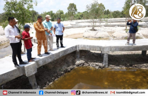 Percantik Pantai Pasir Padi, Broadwalk dan Fasilitas Baru Siap Sambut Wisatawan