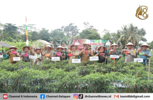 Panen Raya Padi dan Cabai, Pj Gubernur Sugito Apresiasi Petani Desa Rias