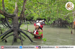 Jaga Keseimbangan Ekosistem Pesisir PT Timah Pantau Bioata Laut