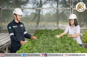 Langkah Hijau PT Timah Kelola Lingkungan untuk Masa Depan Berkelanjutan