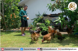 Warga Komplek Perumahan Unmet PT Timah Manfaatkan Pekarangan Sebagai Sarana Cocok Tanam