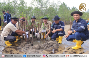 PT Timah Tbk Tanam Ribuan Mangrove di Pantai Batu Kucing 