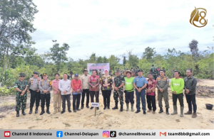 PT TAM Kolaborasi Bersama Korem 045 Gaya Tanam Pohon Kayu Putih 
