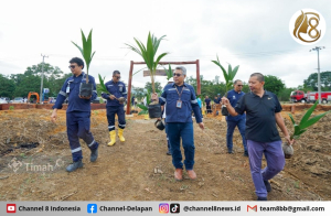 Dukung Program Ketahanan Pangan Nasional, PT Timah Bangun Tanjung Ular Farm Estate