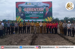 Perkuat Ketahanan Pangan Nasional, Polres Bangka Tengah Gelar Kegiatan Penanaman Jagung bersama Stakeholder