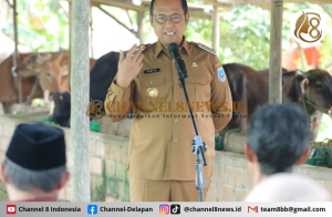 Aksi Cepat Pj Gubernur Sugito, Pantau Langsung Vaksinasi Cegah Penyebaran PMK Hewan Ruminasia