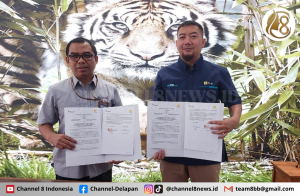 Kolaborasi PT Timah dan PLN: Tingkatkan Kapasitas Listrik untuk Operasional Lebih Efisien