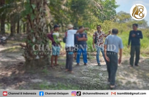 LBH Milenial Bangka Tengah Keadilan Berhasil Menangkan Petani Kelapa Hadapi Kasus Sengketa Lahan Landbow