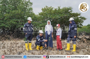 Dukung Target Net Zero Emission PT Timah Tanam Ratusan Ribu Mangrove