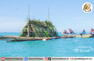 Bangun Fishing Ground Berkelanjutan, PT Timah Tenggelamkan 1.434 Rumpon di Wilayah Perairan Babel