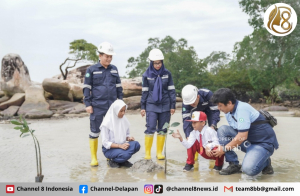Komitmen Hijau: Program Pengelolaan Lingkungan PT Timah untuk Masa Depan Bumi