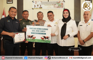 Idul Adha Penuh Berkah, Bupati Bangka Selatan Terima 30 Hewan Kurban dari PT Timah