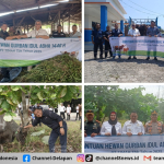 PT Timah Salurkan Ratusan Hewan Kurban di Empat Provinsi