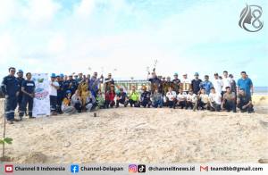 HLHS 2025: PT Timah, Kumpulkan Sampah Plastik Hingga Tanam Pohon di Pantai Batu Tunggal