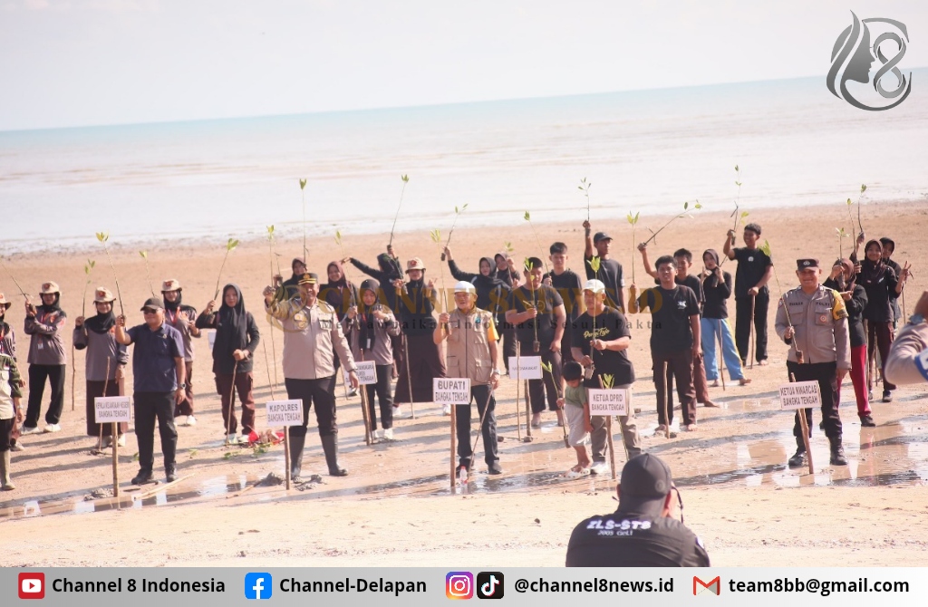 Kapolres Bangka Tengah Dukung Penanaman Mangrove dan Literasi Sejarah Lokal di HUT Kota Koba ke-171