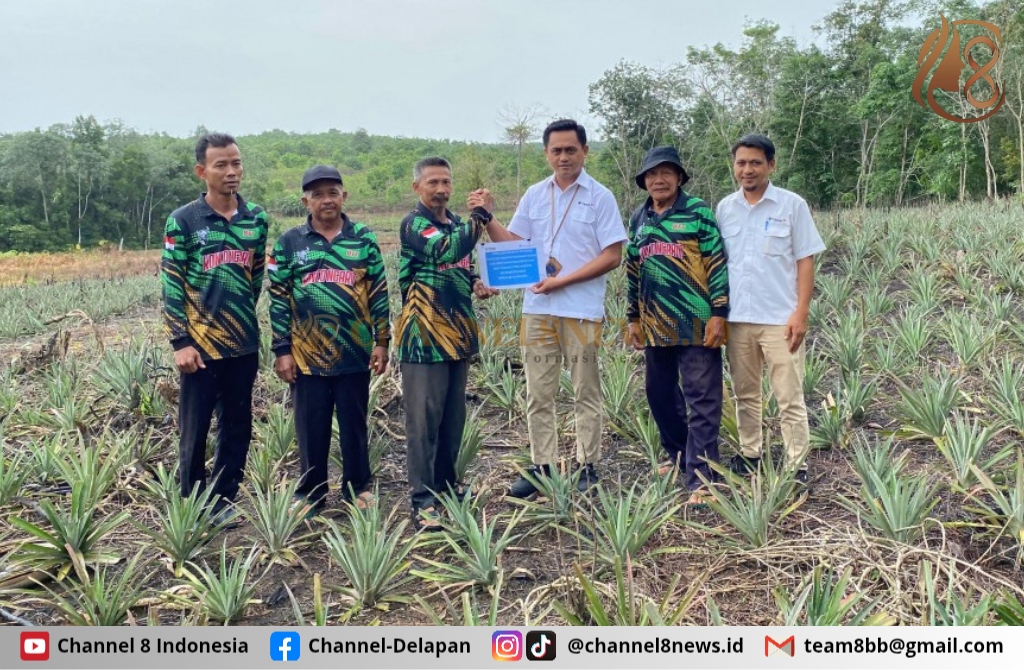 Dukung Sektor Pertanian di Kundur PT Timah Bantu Petani Salurkan Bibit Tanaman