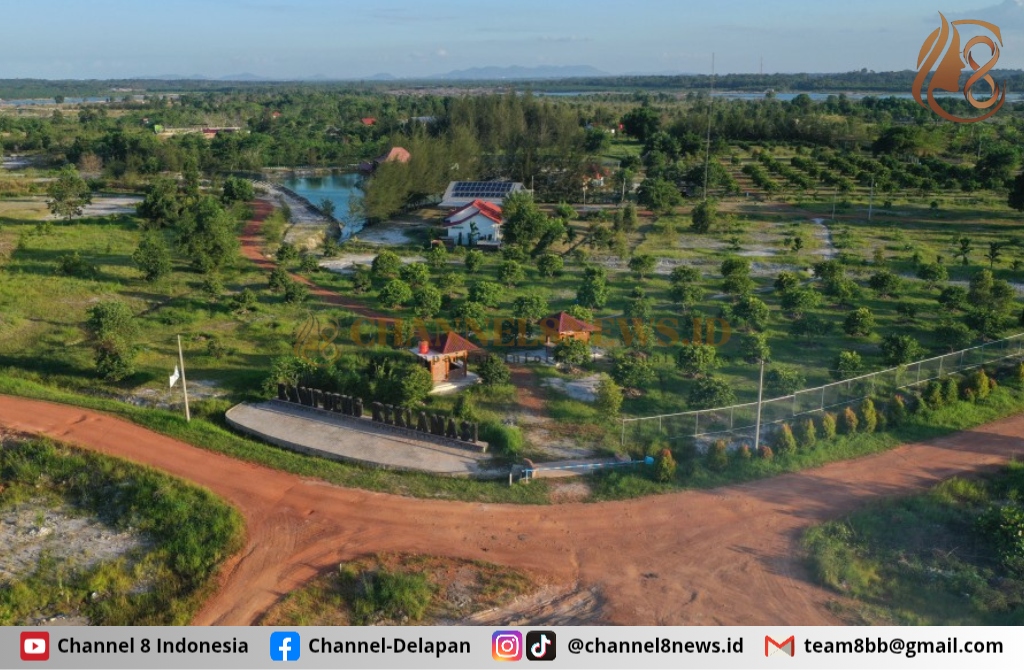 Reklamasi Darat PT Timah Lahan Pascatambang Jadi Ruang Hidup Baru