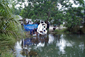 Kali Ini PT Timah Tbk Manfaatkan Kolong Eks Tambang di Bangka Tengah Jadi Ekosistem Produktif