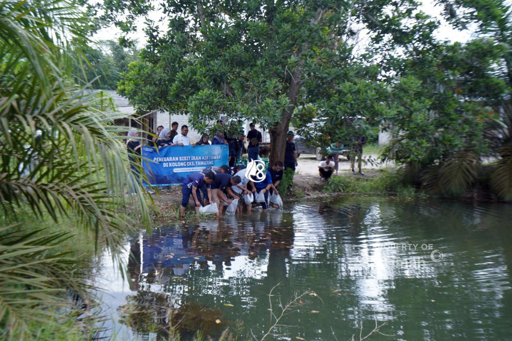 Kali Ini PT Timah Tbk Manfaatkan Kolong Eks Tambang di Bangka Tengah Jadi Ekosistem Produktif