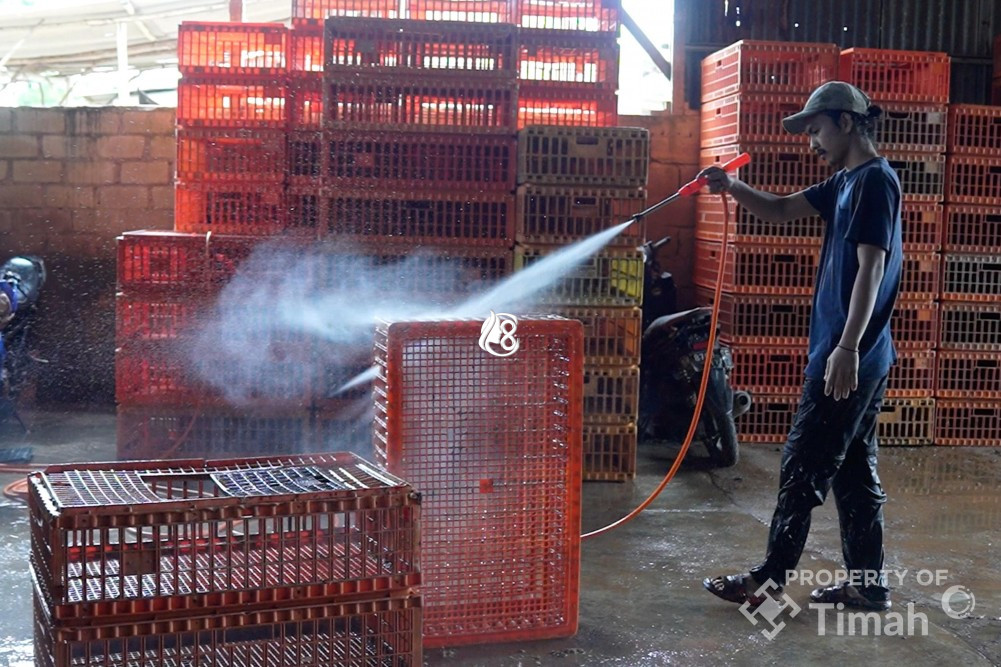 PT Timah Tbk Serahkan Mesin Steam untuk Usaha Ayam Potong di Pangkalpinang