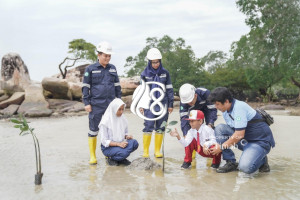 Edukasi Pelajar Soal Lingkungan, PT Timah Tbk Tanamkan Kepedulian Lewat Program Mangrove
