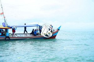 Reklamasi Laut PT Timah Tbk: 1.920 Unit Artificial Reef Ditenggelamkan Pulihkan Ekosistem