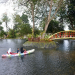 Tins Green Garden Foresttree Jadi RTH Favorit Warga Pangkalpinang