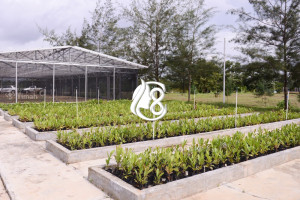 PT Timah Reklamasi Ratusan Hektare Lahan Pascatambang