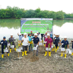 Hari Bumi 2026, PT Timah Fokus Rehabilitasi Ekosistem Pesisir di Bangka