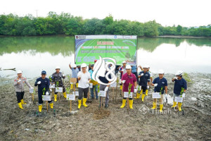 Hari Bumi 2026, PT Timah Fokus Rehabilitasi Ekosistem Pesisir di Bangka