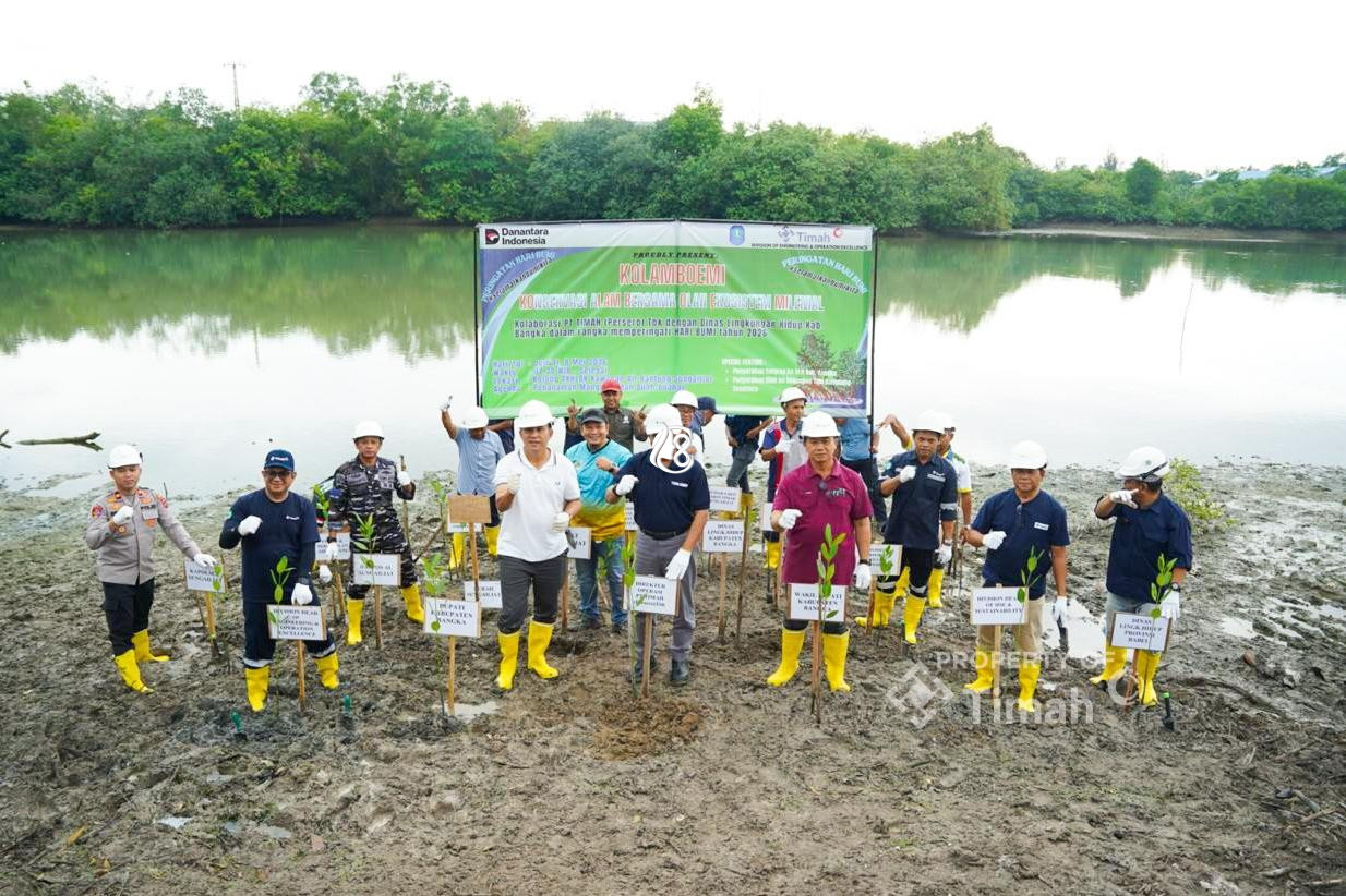 Hari Bumi 2026, PT Timah Fokus Rehabilitasi Ekosistem Pesisir di Bangka