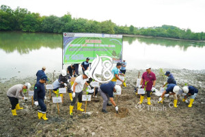 PT Timah Gandeng Pemkab Bangka Sulap Kolong AKHLAK Jadi Kawasan Hijau Bernilai Ekonomi
