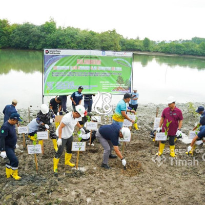 PT Timah Gandeng Pemkab Bangka Sulap Kolong AKHLAK Jadi Kawasan Hijau Bernilai Ekonomi