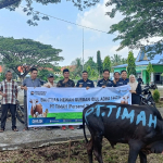 PT Timah Salurkan Hewan Kurban Hingga Wilayah Terpencil Kepulauan Meranti