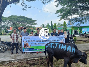 PT Timah Salurkan Hewan Kurban Hingga Wilayah Terpencil Kepulauan Meranti