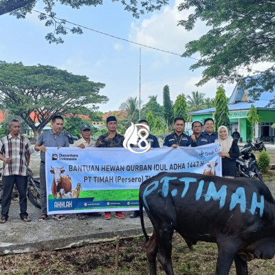 PT Timah Salurkan Hewan Kurban Hingga Wilayah Terpencil Kepulauan Meranti